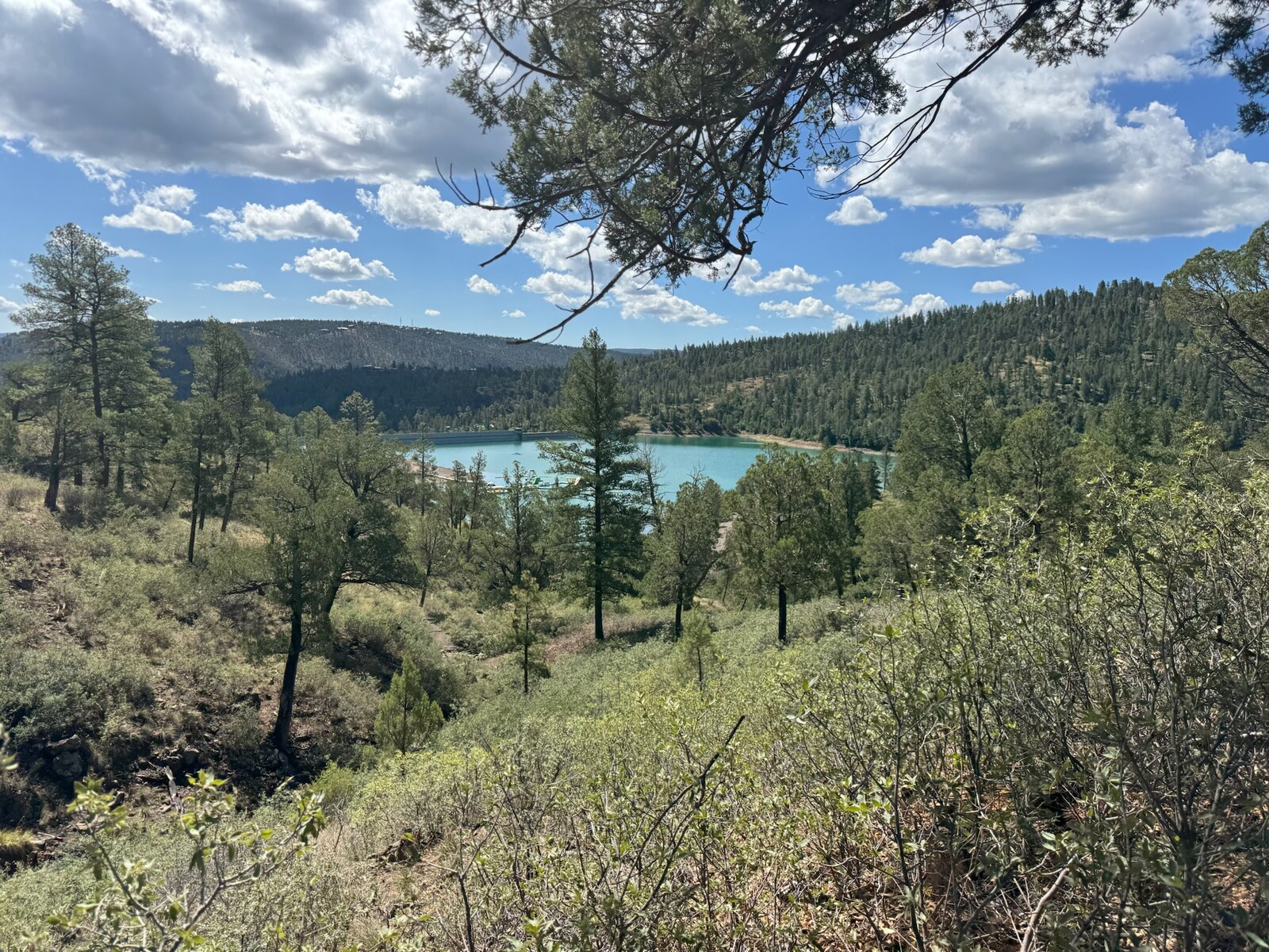 Grindstone Lake seen from the trail under a blue New Mexico sky