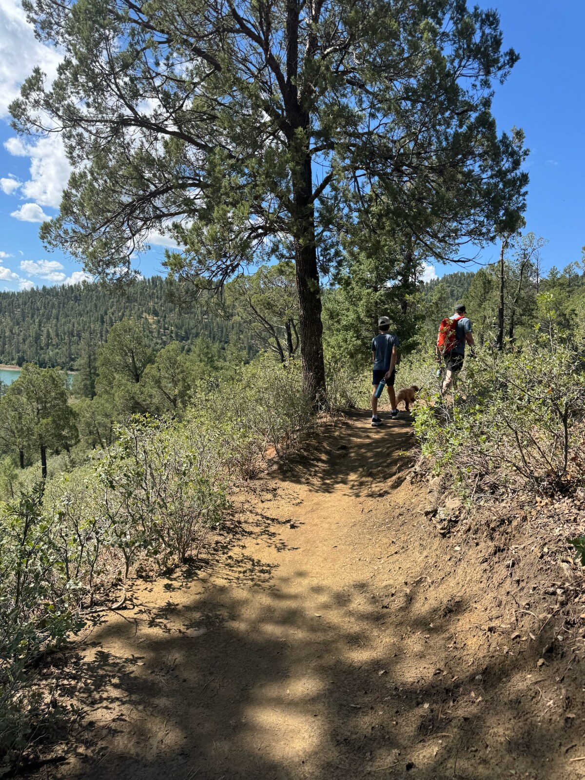 Ryan, Owen, and Harold walking the trail above Grindstone Lake